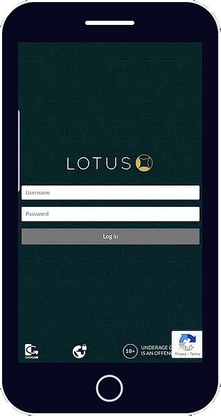 lotus 247.